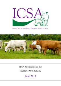 ICSA-Suckler-TAMS-Submissio