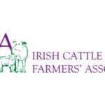 Cattle and Sheep Prices 12 September 2023