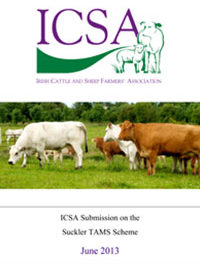 ICSA Submission On The Suckler Tam Scheme