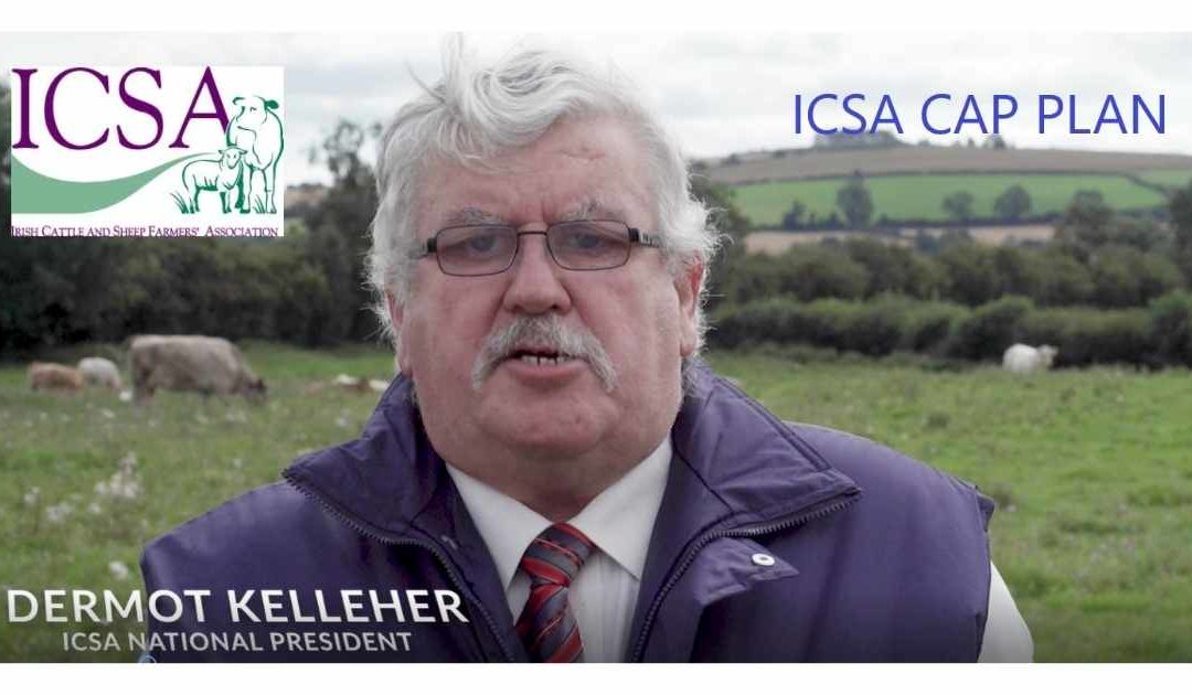 WATCH: ICSA PRESIDENT DERMOT KELLEHER OUTLINES HOW CAP FUNDS CAN BE USED TO BETTER SUPPORT LOW-INCOME SUCKLER, SHEEP & BEEF FARMERS
