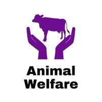 Animal Welfare ICSA
