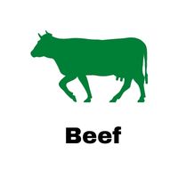 Beef Sector ICSA