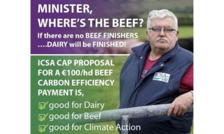 MINISTER MUST IMPLEMENT ICSA BEEF CARBON EFFICIENCY PROPOSAL