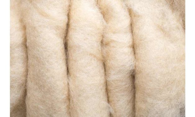 ICSA WELCOMES PUBLICATION OF WOOL FEASIBILITY STUDY