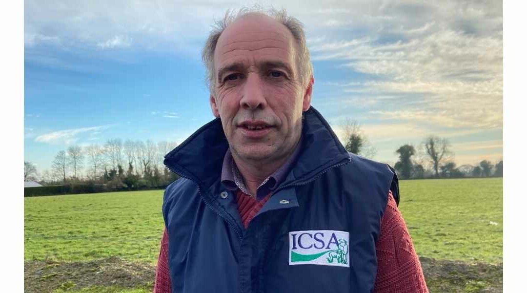 ICSA TO MOUNT PROTEST TO HIGHLIGHT DEEPENING CRISIS IN SHEEP SECTOR